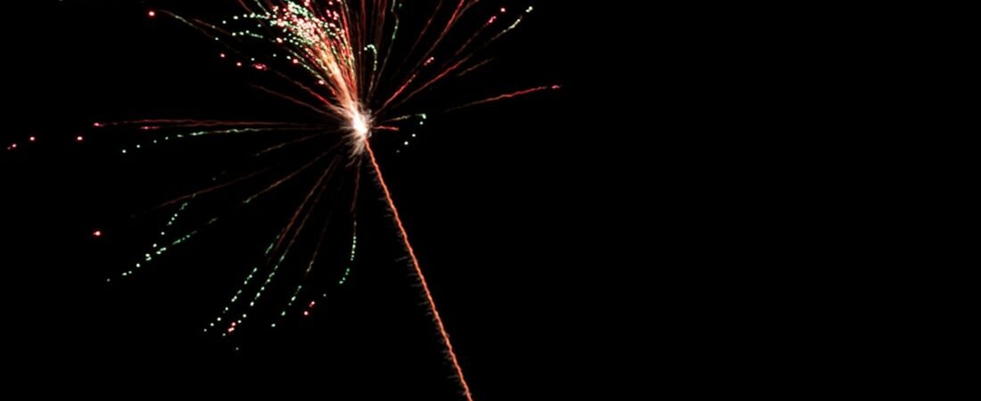 Why Dogs Go Missing on the 4th of July (And How to Actually Prevent It)