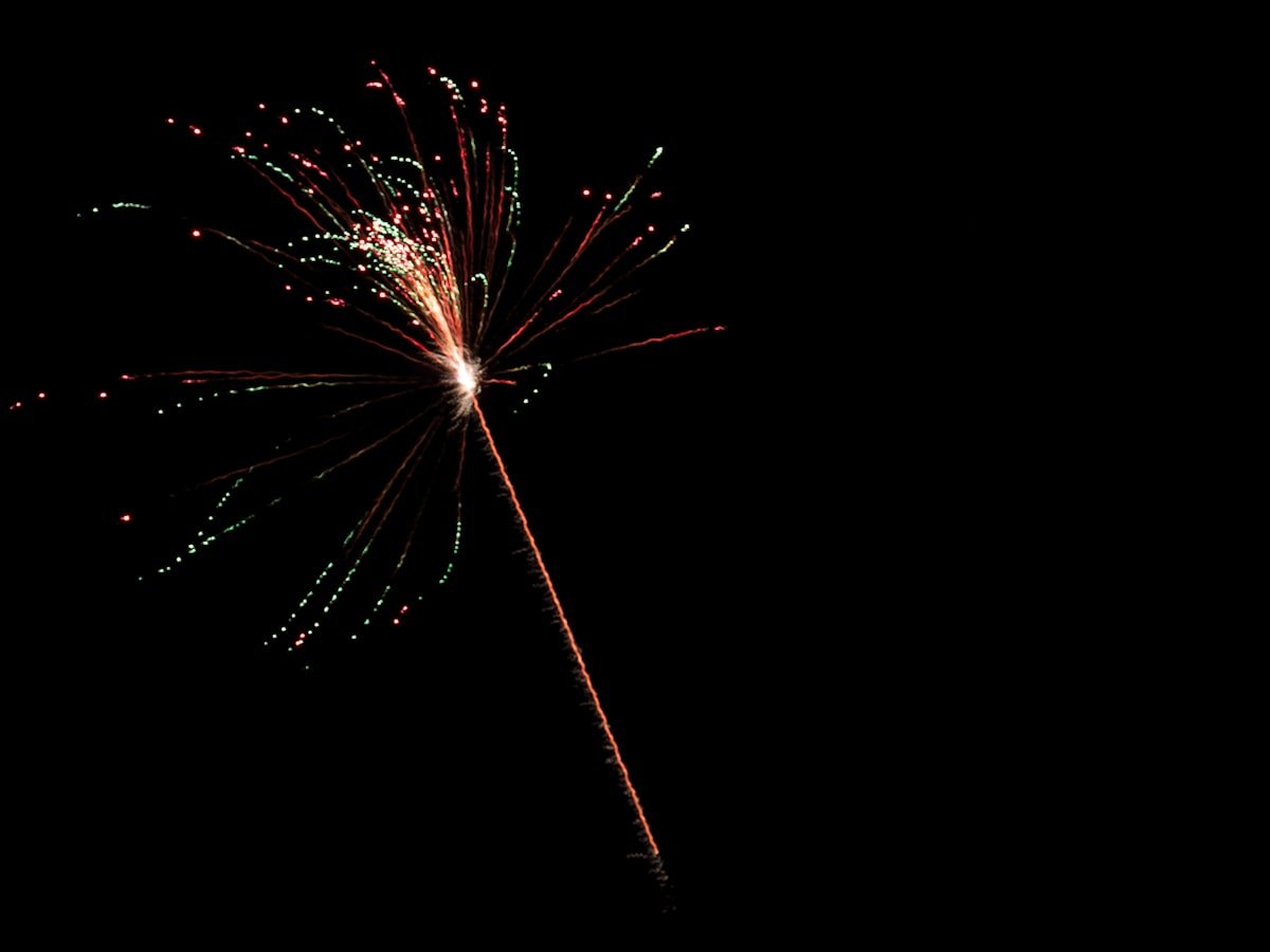 Why Dogs Go Missing on the 4th of July (And How to Actually Prevent It)