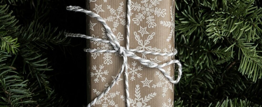 Best GPS Tracker Gifts for Dog Owners (Holiday Gift Guide)