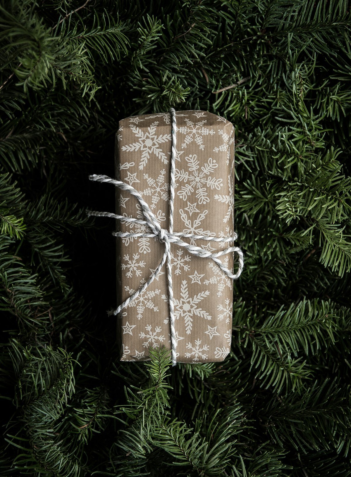 Best GPS Tracker Gifts for Dog Owners (Holiday Gift Guide)